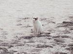 080322_03c.jpg