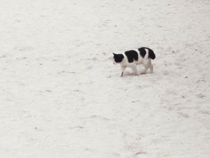 080322_04c.jpg