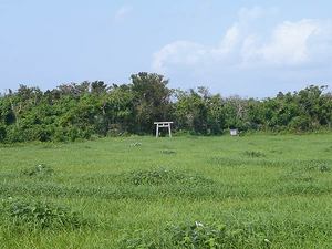 080322_20s.jpg