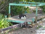 080322_22c.jpg