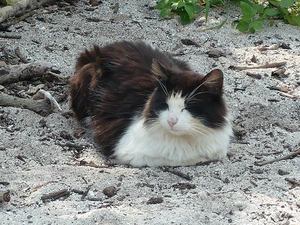 080322_24c.jpg
