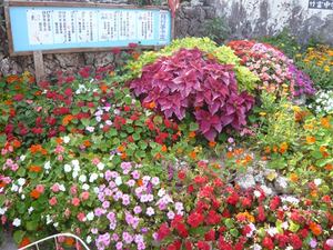 080322_26f.jpg