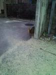 080322_30c.jpg