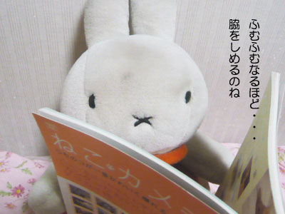 091026a.jpg