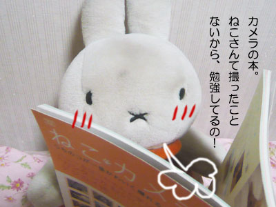 091026b.jpg