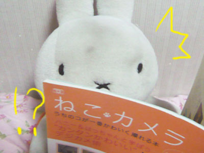 091026d.jpg