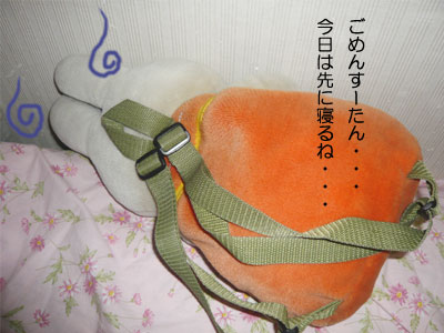 091026e.jpg