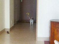 091111b.jpg