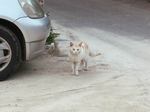 080321_17c.jpg