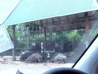 100718-12.jpg