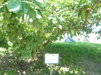 P1050730.JPG